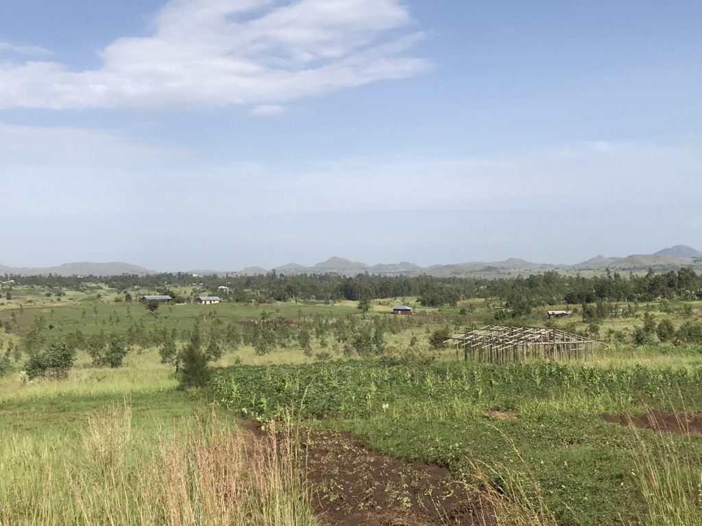 Projet Ujamaa Tshere.